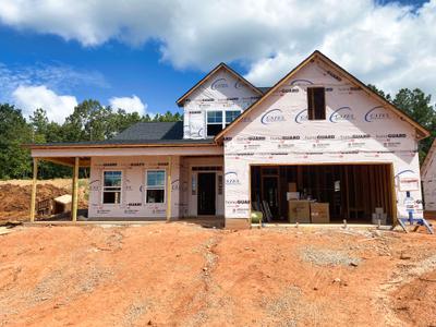 25 Vast View Way, Youngsville, NC 27596 New Home for Sale